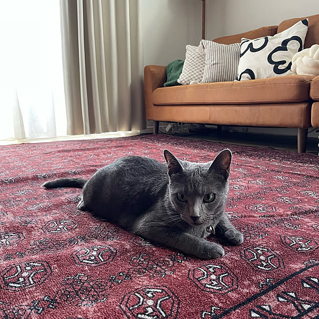 riri1989さんの部屋