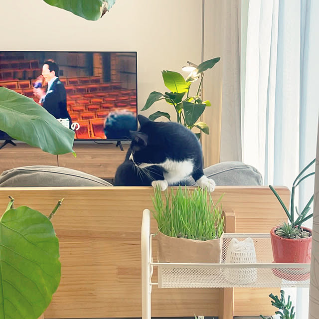 hirokoさんの部屋