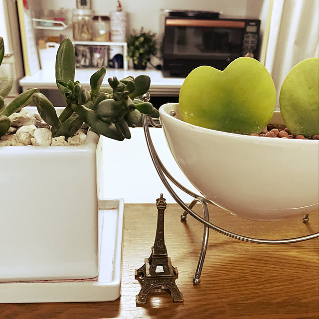 キッチン/観葉植物のインテリア実例 - 2018-04-03 22:19:21