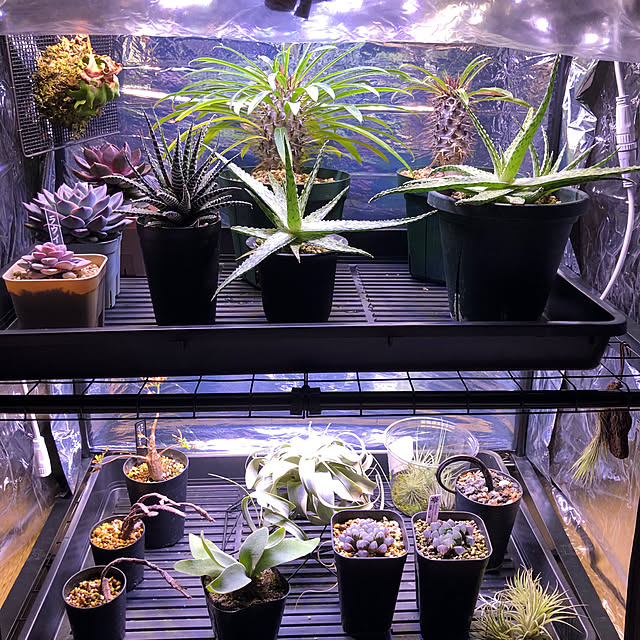 morimori_gohanさんの部屋