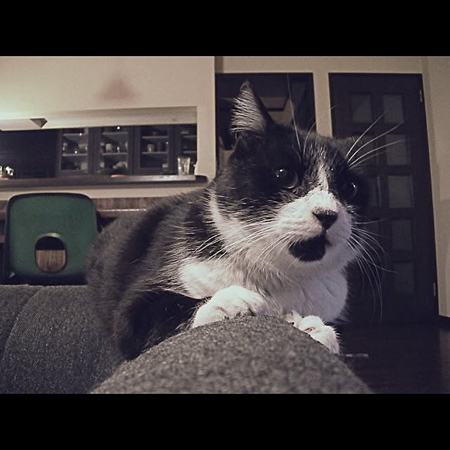 jnkaiさんの実例写真