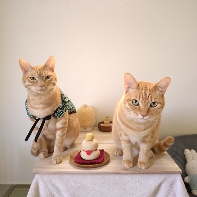 mayutan.さんの実例写真