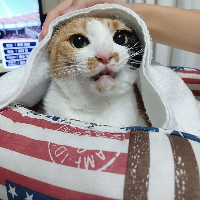 nanaさんの部屋
