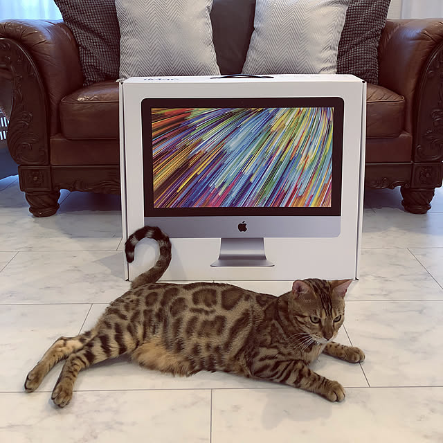 iranさんの実例写真