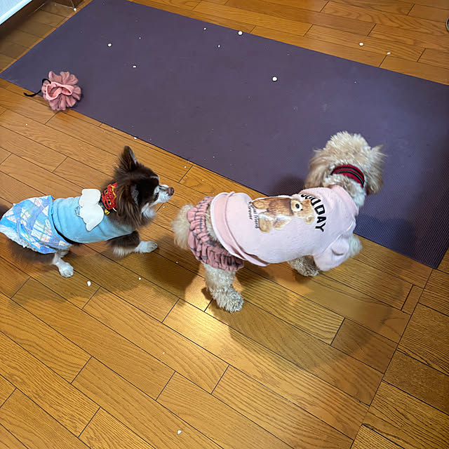 chIoeさんの部屋