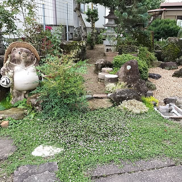 sumimarumiさんの部屋