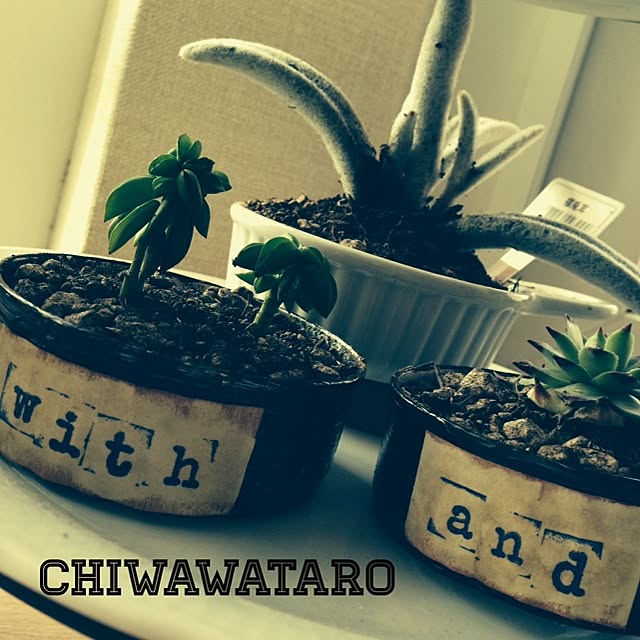 chiwawataroさんの実例写真