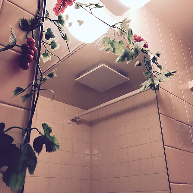 RYOUさんの実例写真