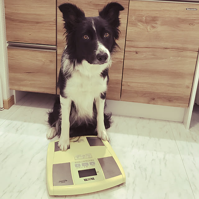 Caoluさんの実例写真