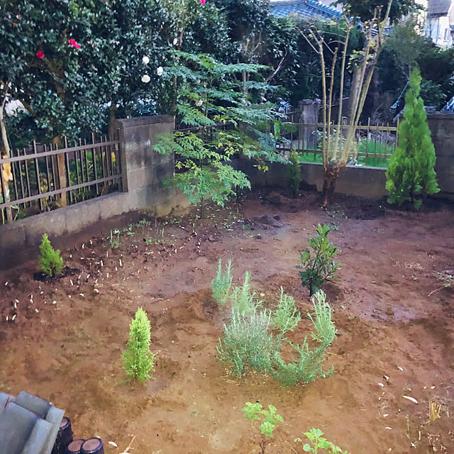 pochioさんの実例写真