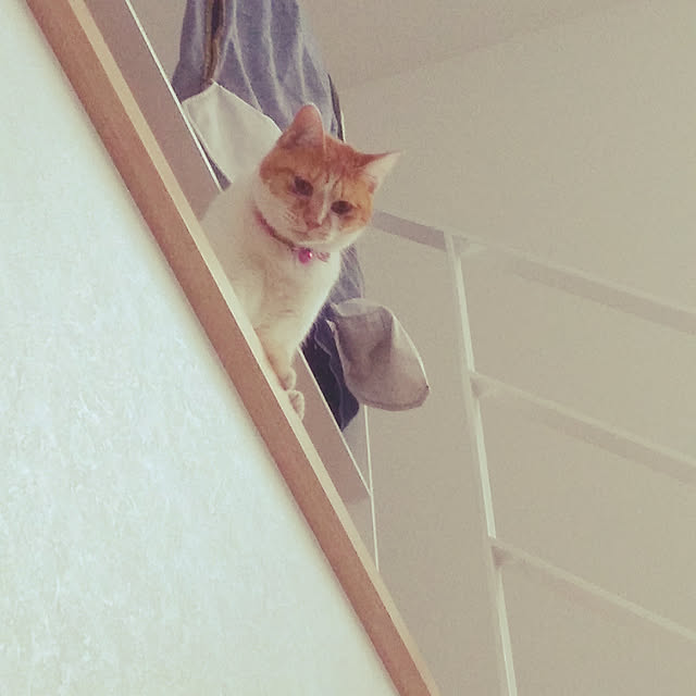 Yさんの実例写真