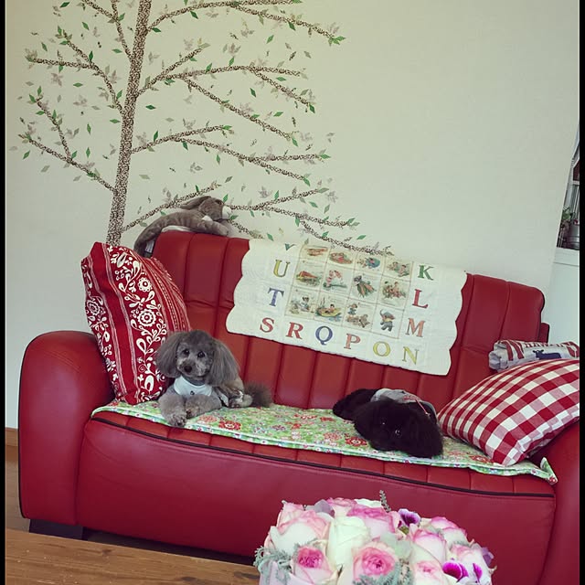 mom39さんの実例写真