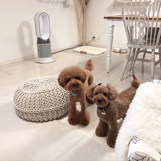 cocoaさんの実例写真