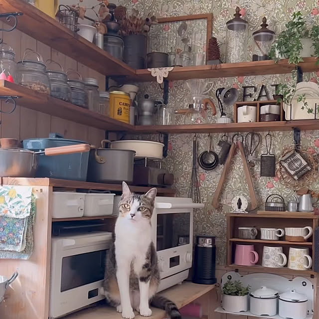 kokkomachaさんの実例写真