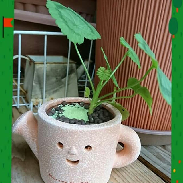 ameamekaasanさんの実例写真