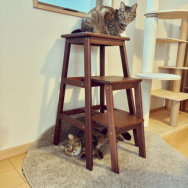 chiiさんの実例写真