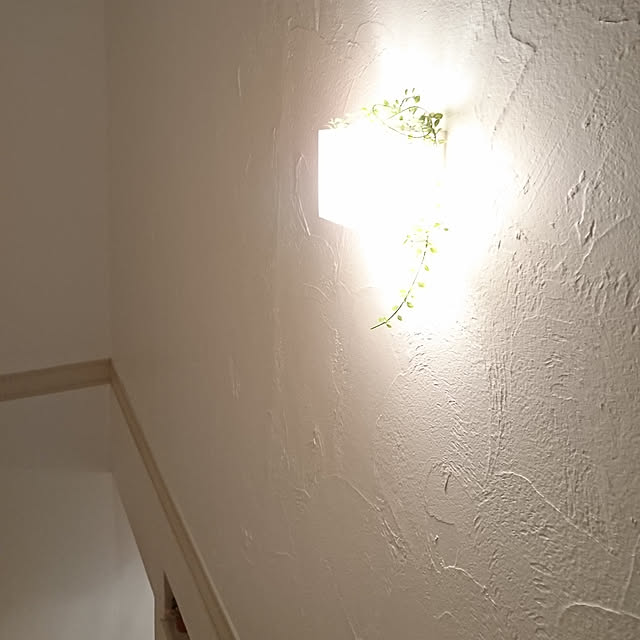 fairyinforestさんの実例写真