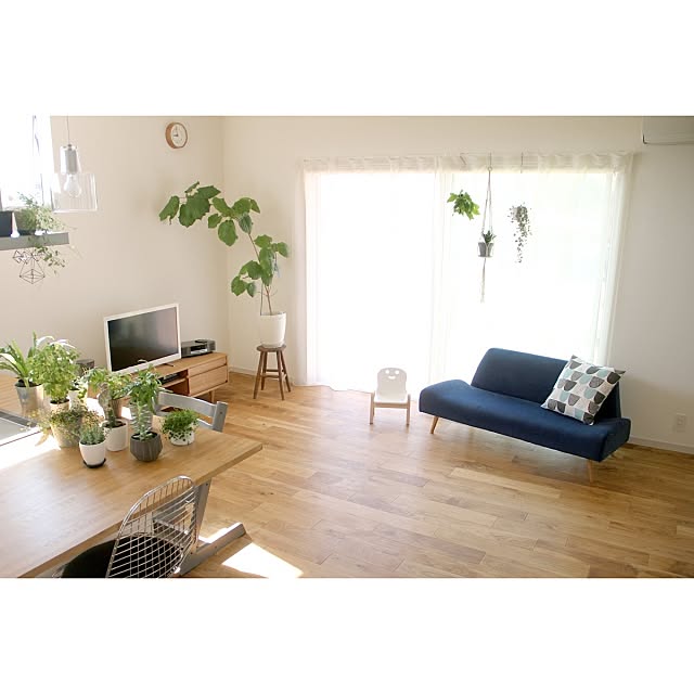 aoソファのおすすめ商品とおしゃれな実例 | RoomClip(ルーム aoソファのおすすめ商品とおしゃれな実例 | RoomClip(ルーム