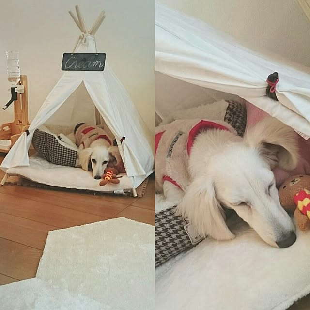 0117_erikaさんの実例写真
