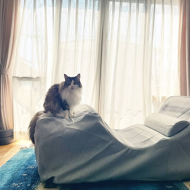 akiko6193さんの部屋
