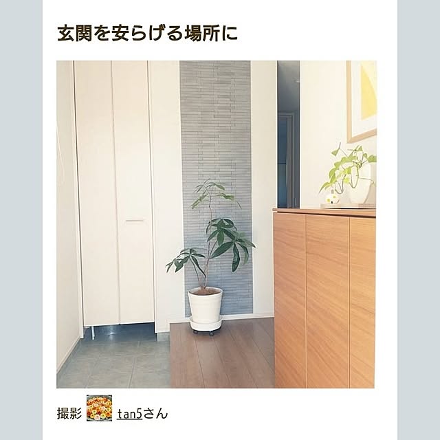 tan5さんの実例写真