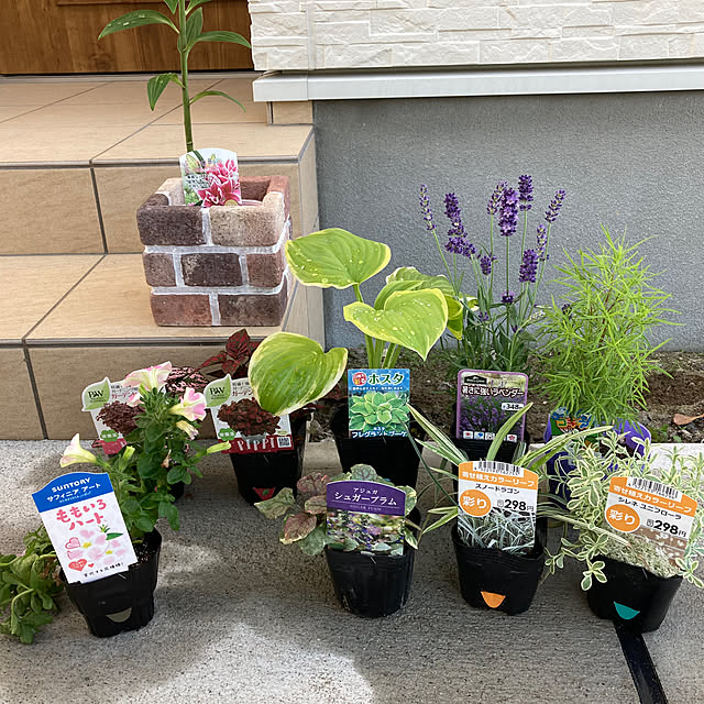 suzuさんの部屋