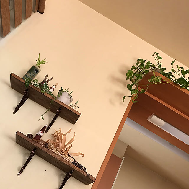 Yokoさんの実例写真