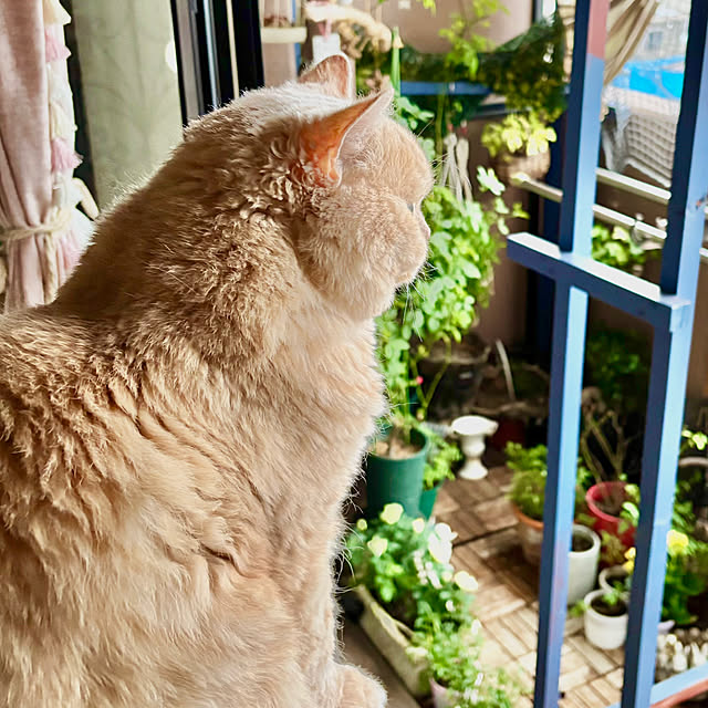 naokoさんの部屋
