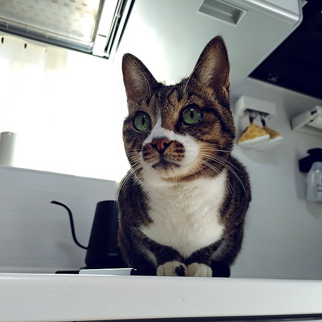 nachiさんの部屋