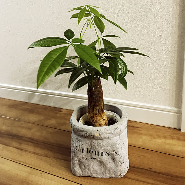 H.Sさんの実例写真