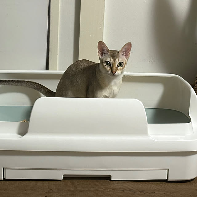 noriさんの部屋