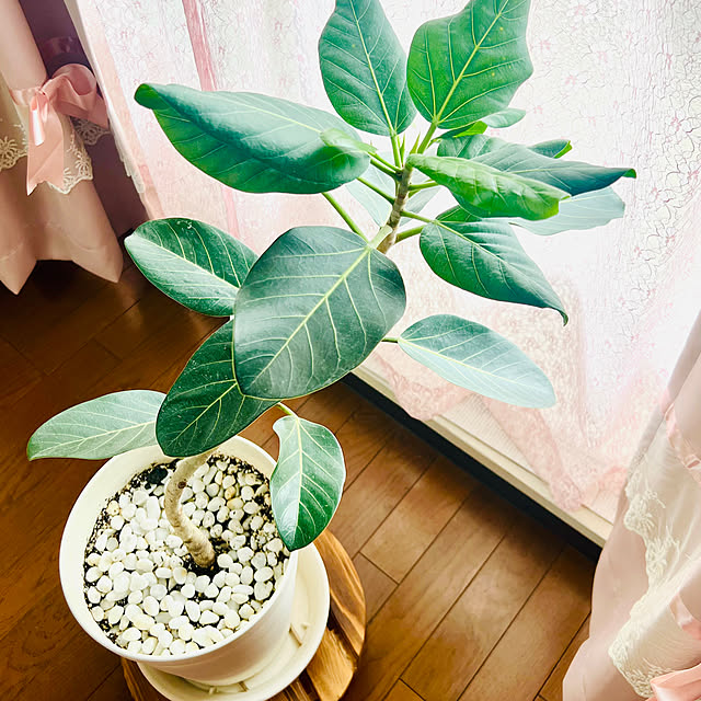kisakiさんの部屋