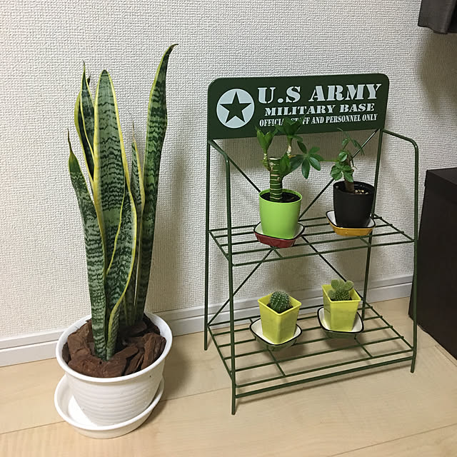 Atsushiさんの実例写真