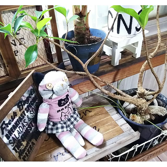 tomokaさんの実例写真