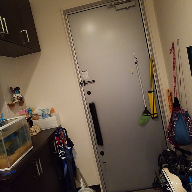 玄関/入り口のインテリア実例 - 2020-10-03 19:42:40