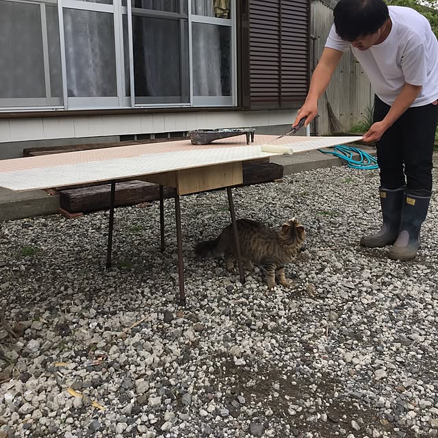Mikaさんの実例写真