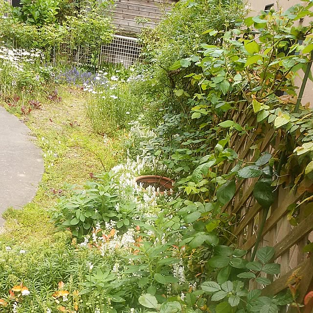 yum0408さんの実例写真