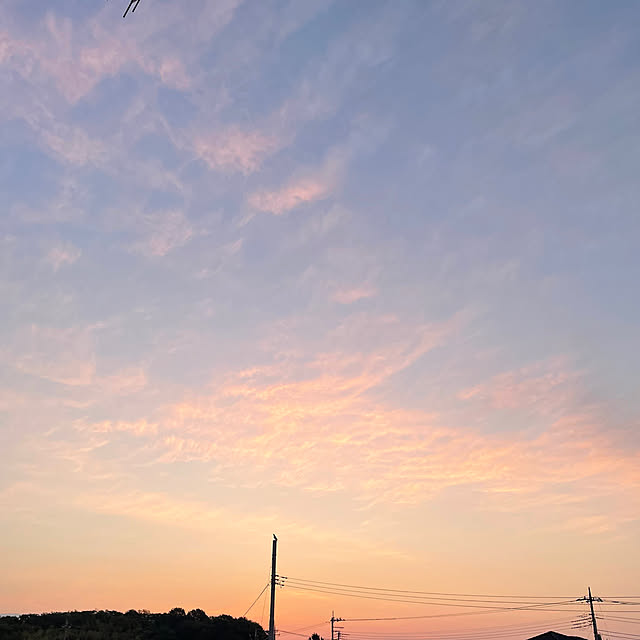 ronronさんの部屋