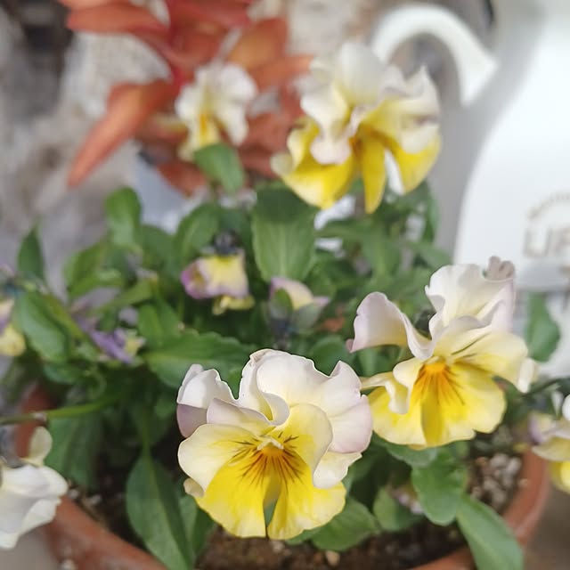 hiro.904さんの実例写真