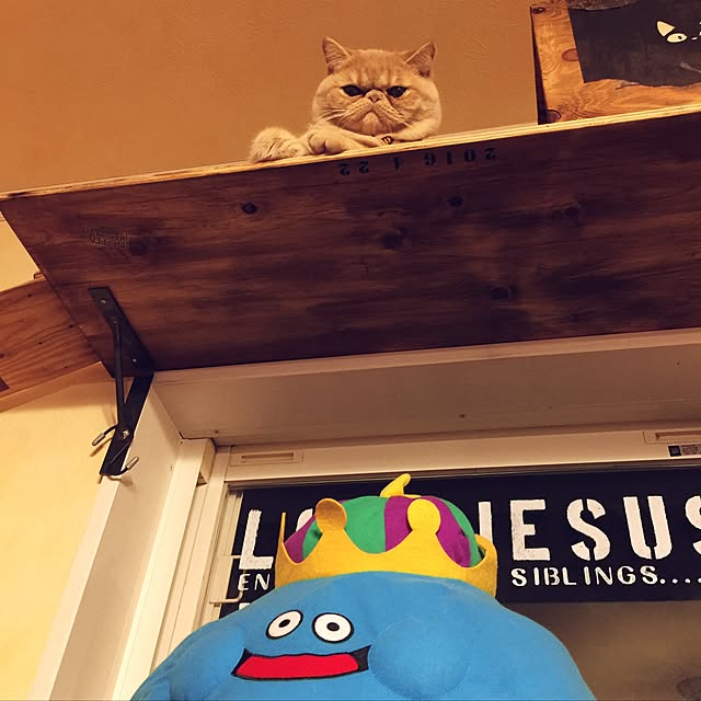 anmituさんの実例写真