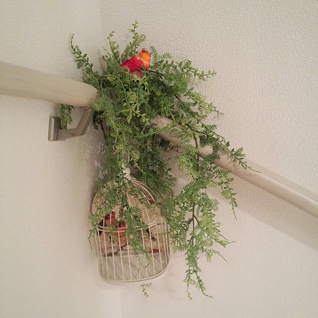 kechaさんの実例写真