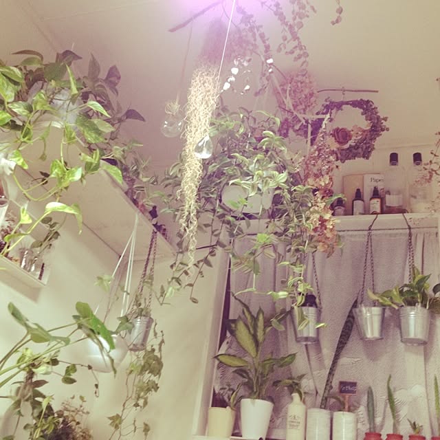 vanillaさんの実例写真