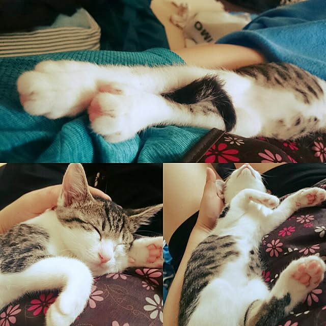 kiraさんの実例写真