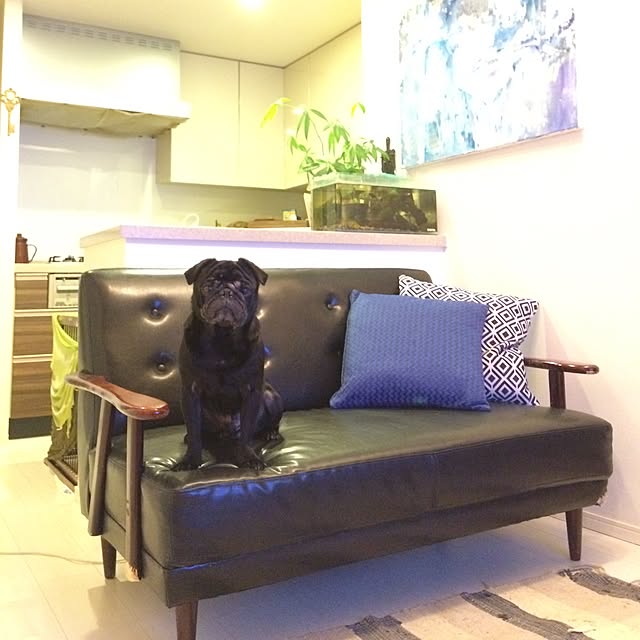 cloudia_gardenさんの実例写真