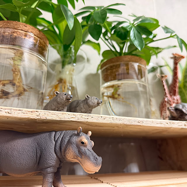 Yoshimiさんの部屋