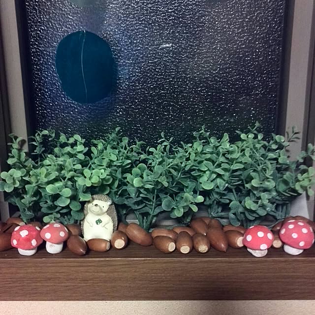 ayuさんの実例写真