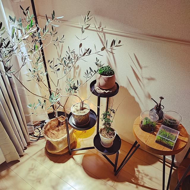 Xign_1992さんの実例写真