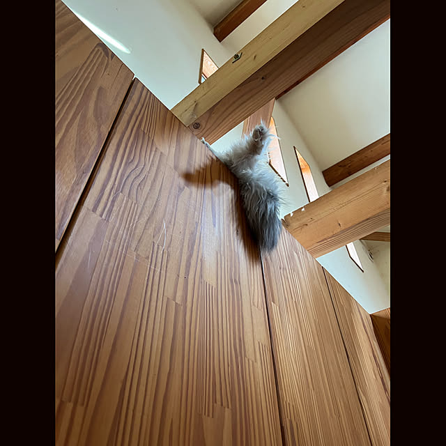 Kikko.さんの実例写真