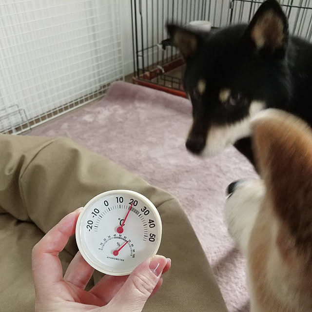 ponhanaさんの実例写真