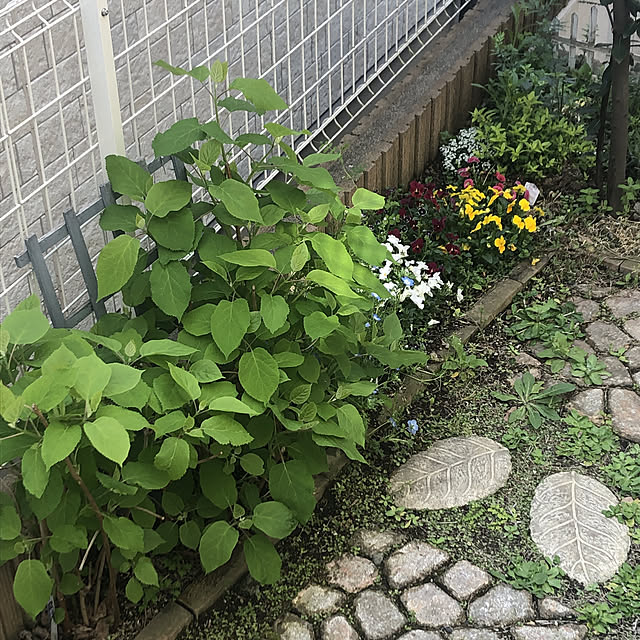 pikarunさんの実例写真